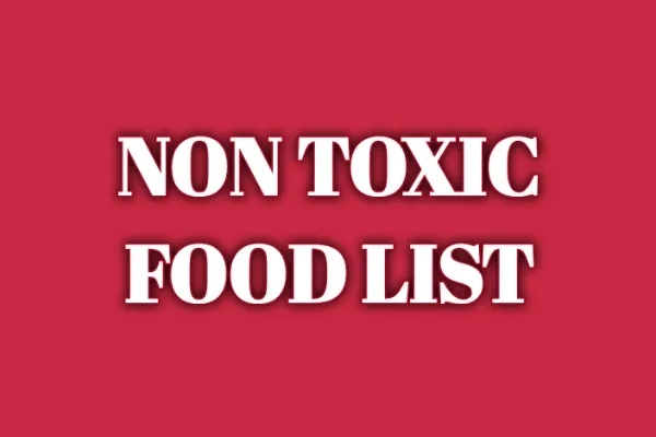 non toxic food list